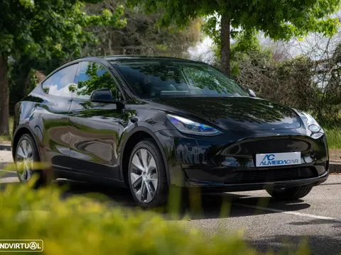 Tesla Model Y RWD