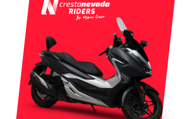Honda FORZA 300