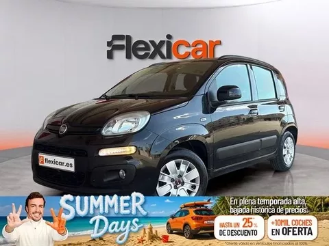 FIAT Panda Panda 1.2 Easy