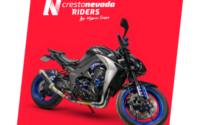 KAWASAKI Z 1000
