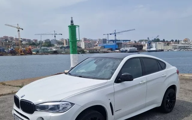 BMW X6 X6 xDrive 30dA