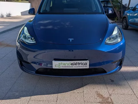 Tesla Model Y Standard