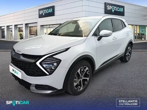 KIA Sportage Sportage 1.6 T-GDi HEV Tech 4x4 239