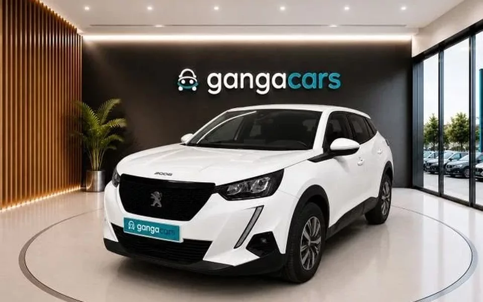 PEUGEOT 2008 2008 1.2 PureTech S&S Active 100