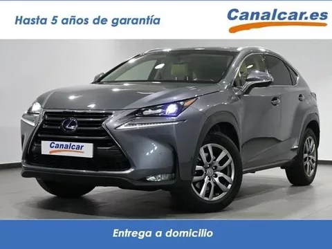 LEXUS NX NX 350h Executive+ 4WD
