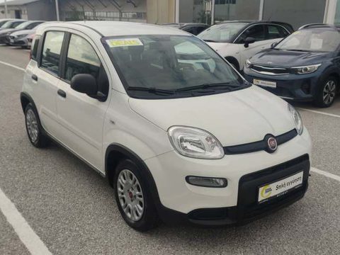 Fiat - Panda - 5 Χρόνια Εγγύηση - URBAN HYBRID - Ασπρο - 2024
