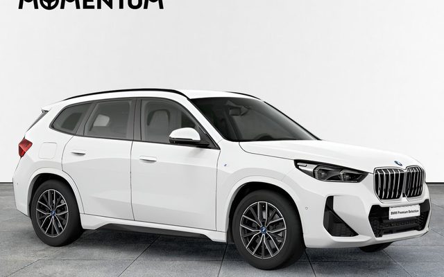BMW X1 X1 xDrive25eA