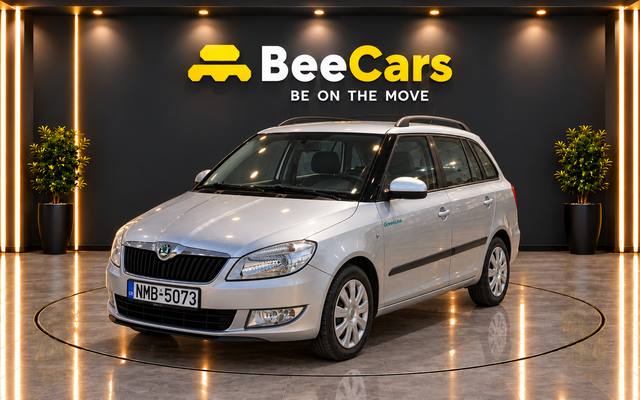 Skoda Fabia 2013