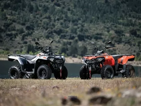 Loncin Otros LX300