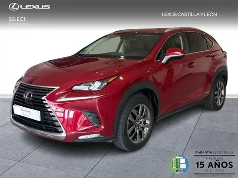 Vendido: LEXUS NX NX 300h Executive Navigation 4WD - 24990€ en Zaratan