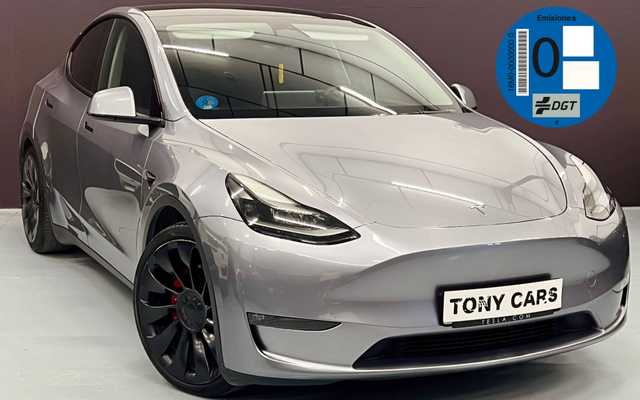 TESLA Model Y Model Y Performance AWD