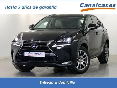 LEXUS NX NX 350h Executive+ 4WD