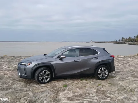 Lexus UX 300e Luxury
