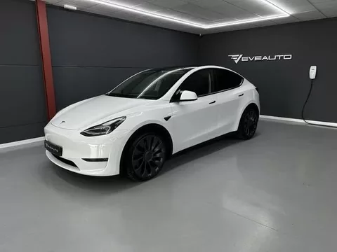 TESLA Model Y Performance Dual Motor bola remolque