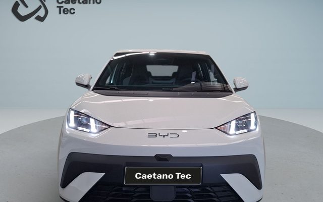 BYD DOLPHIN SURF