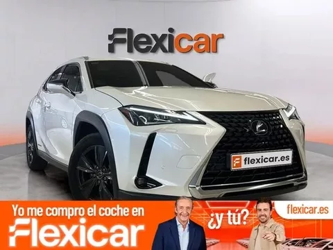 LEXUS UX 2.0 250h Business