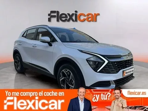 KIA Sportage 1.6 T-GDi MHEV 118kW Business 4x2 DCT
