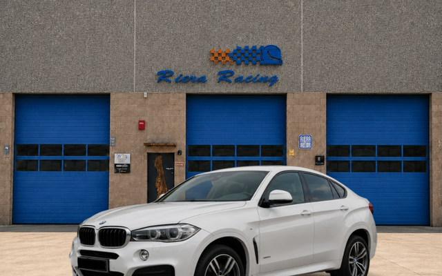 BMW X6 X6 xDrive 30dA