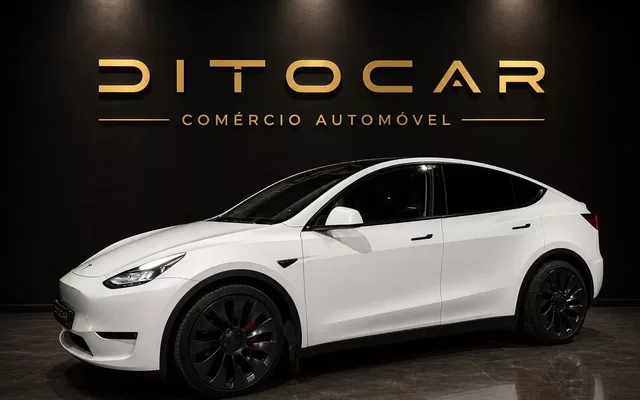 Tesla Model Y Performance Tração Integral