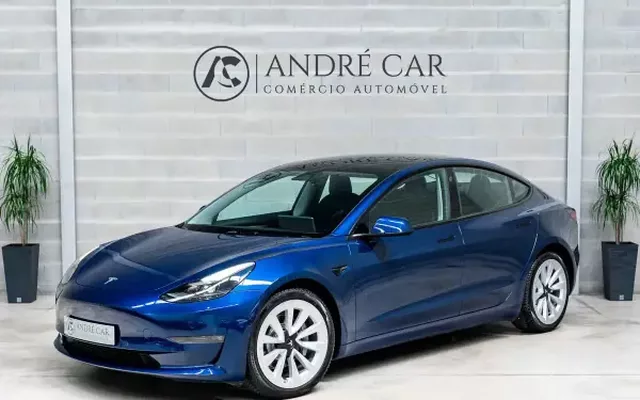 Tesla Model 3 2021 Long-Range Dual Motor AWD