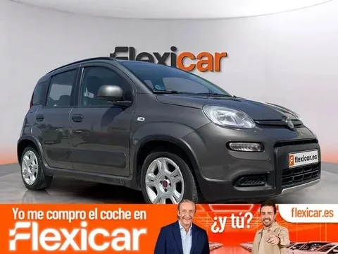FIAT Panda City Life Hybrid 1.0 Gse 51kw (70CV)