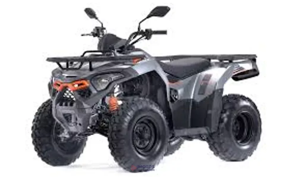 Loncin Otros -WOLF 200
