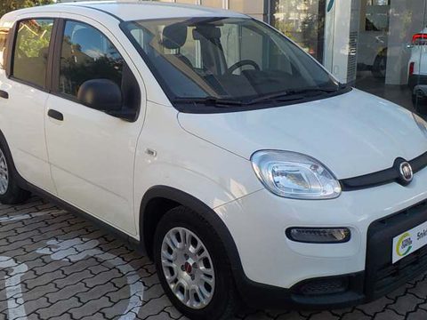 Fiat - Panda - 5 Χρόνια Εγγύηση - URBAN HYBRID - Ασπρο - 2024