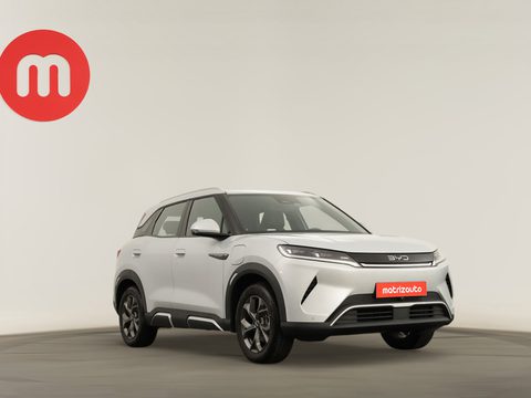 Byd Atto 2