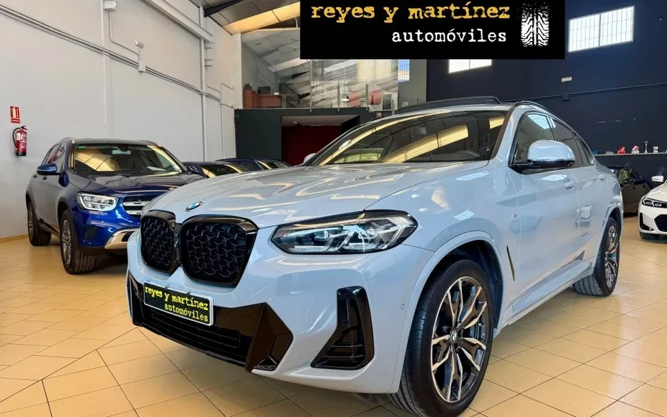 BMW X4 X4 xDrive 20dA xLine M Sport