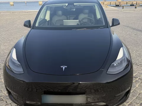 Tesla Model Y Long Range Tração Integral