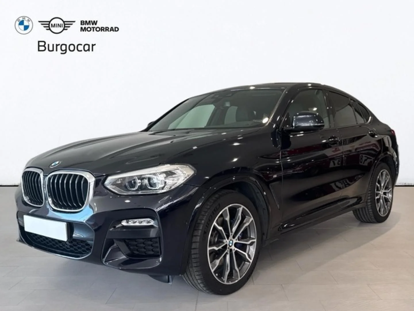 BMW X4 X4 xDrive 30dA
