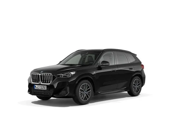 BMW X1 X1 xDrive25eA