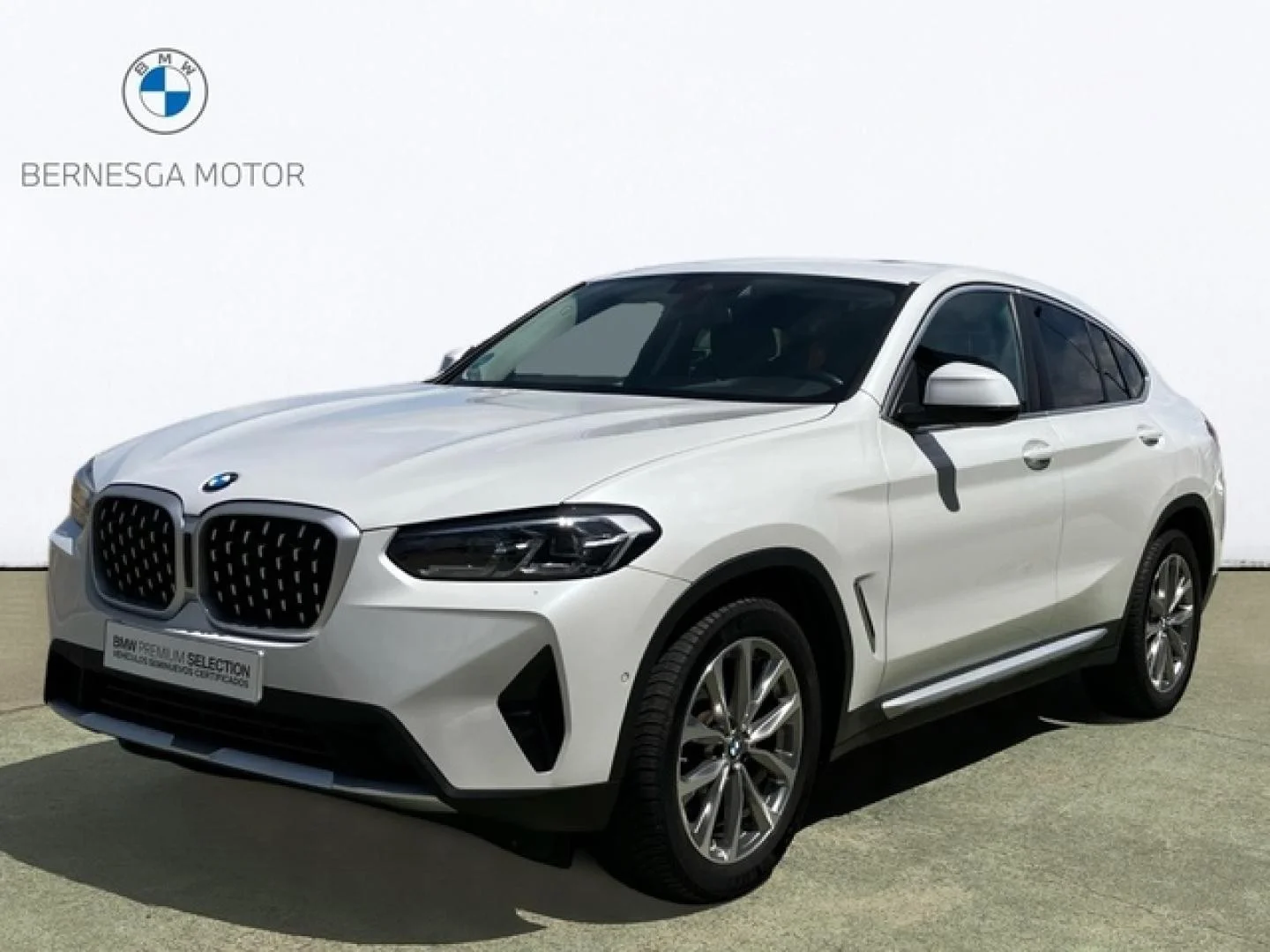 BMW X4 X4 xDrive 20dA xLine