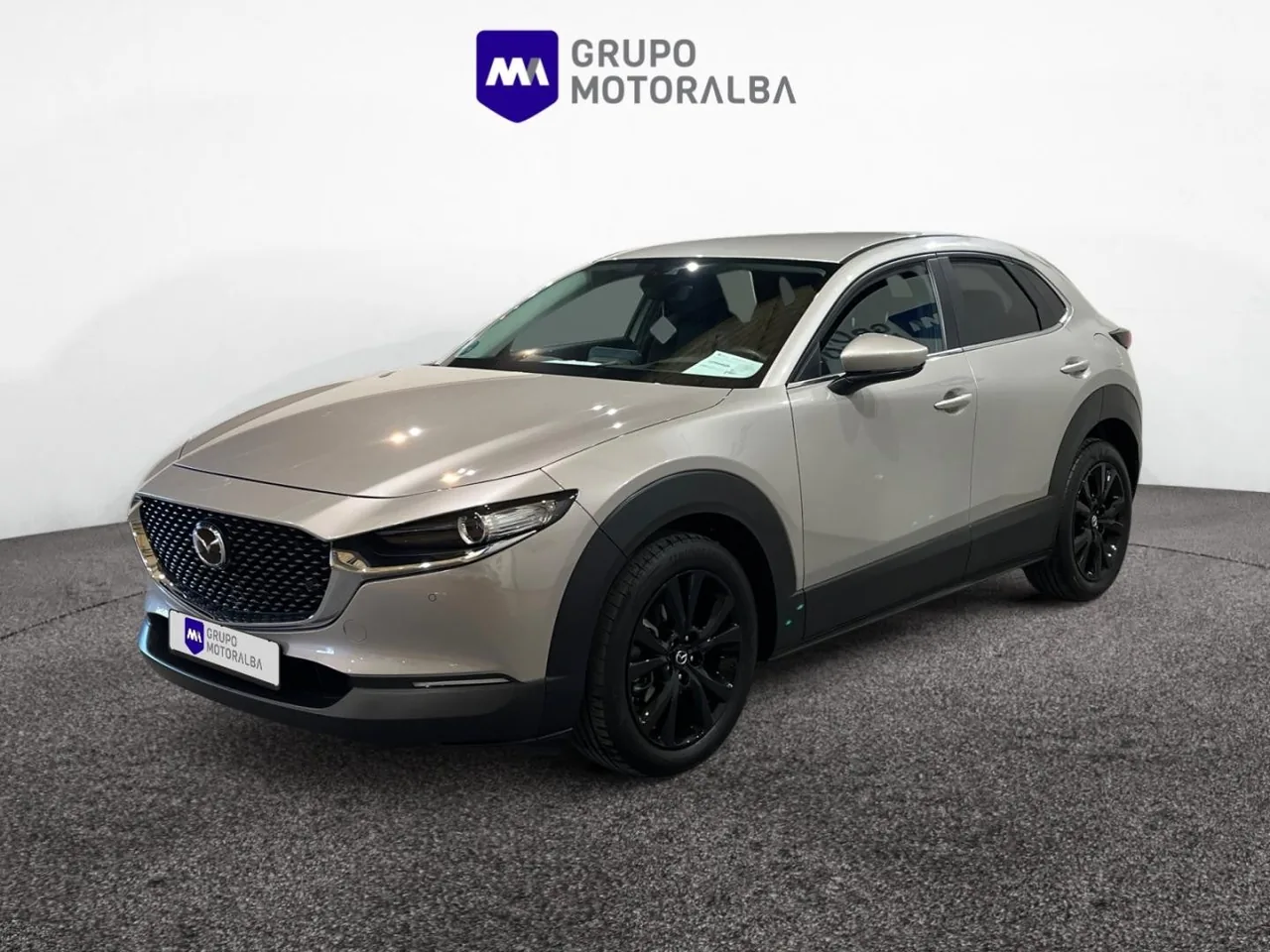 MAZDA CX-30 CX-30 2.0 Skyactiv-G Evolution 2WD 90kW