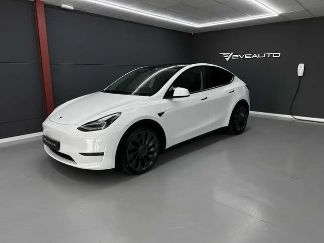 TESLA Model Y Performance Dual Motor bola remolque