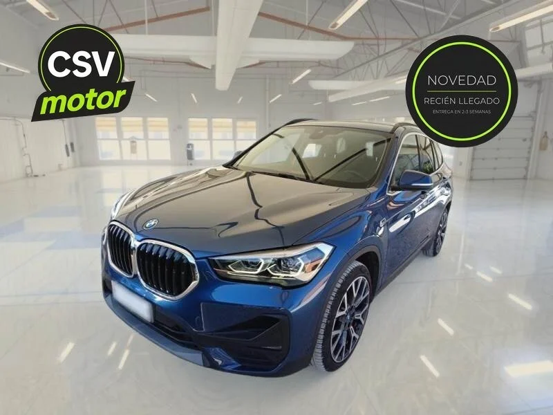 BMW X1 X1 xDrive25eA