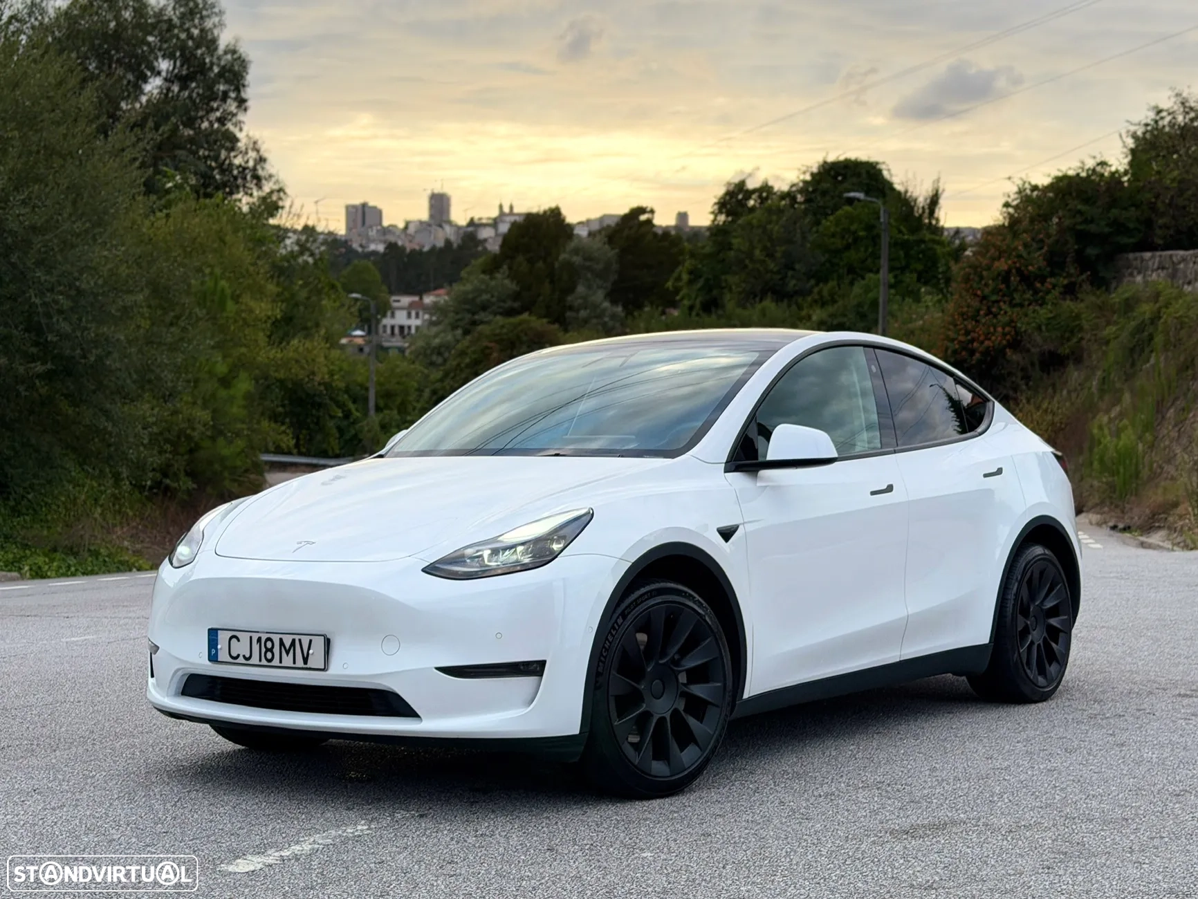 Tesla Model Y Long Range Tração Integral