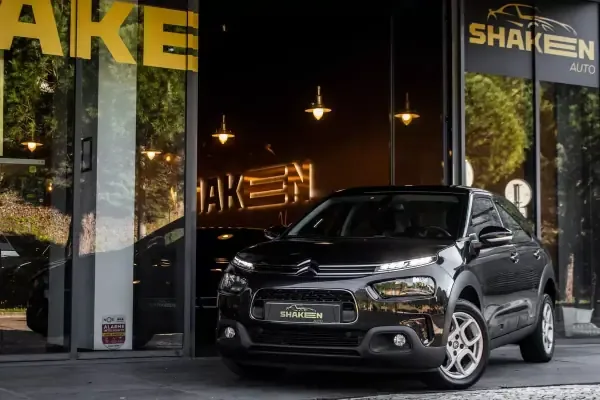 Citroën C4 Cactus 2019 Bluehdi 100 Stop Start Feel