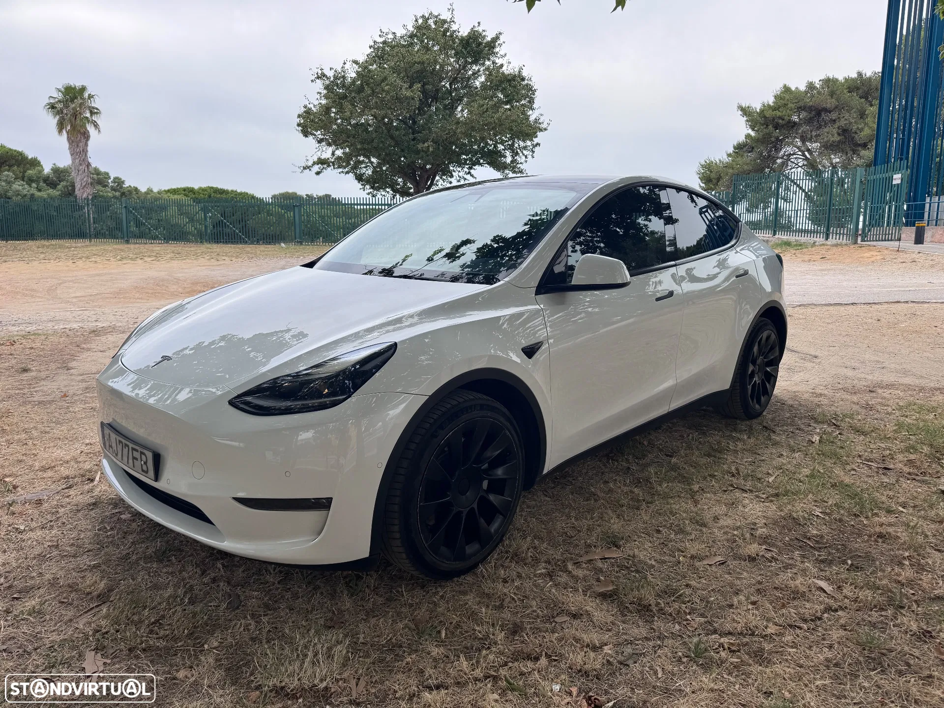 Tesla Model Y Long Range Tração Integral