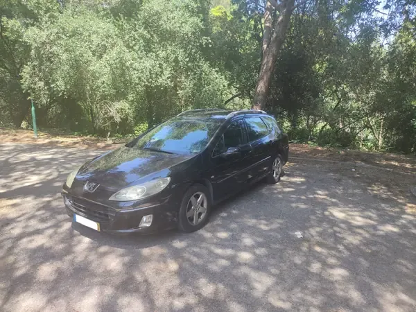 Peugeot 407 SW 2004 1.6 HDi Executive