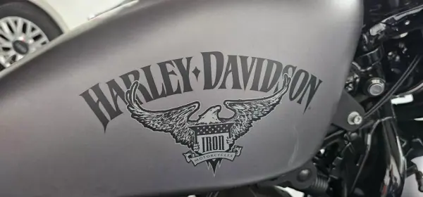 Harley-Davidson Sportster® Iron 883™ 2016 XL iron