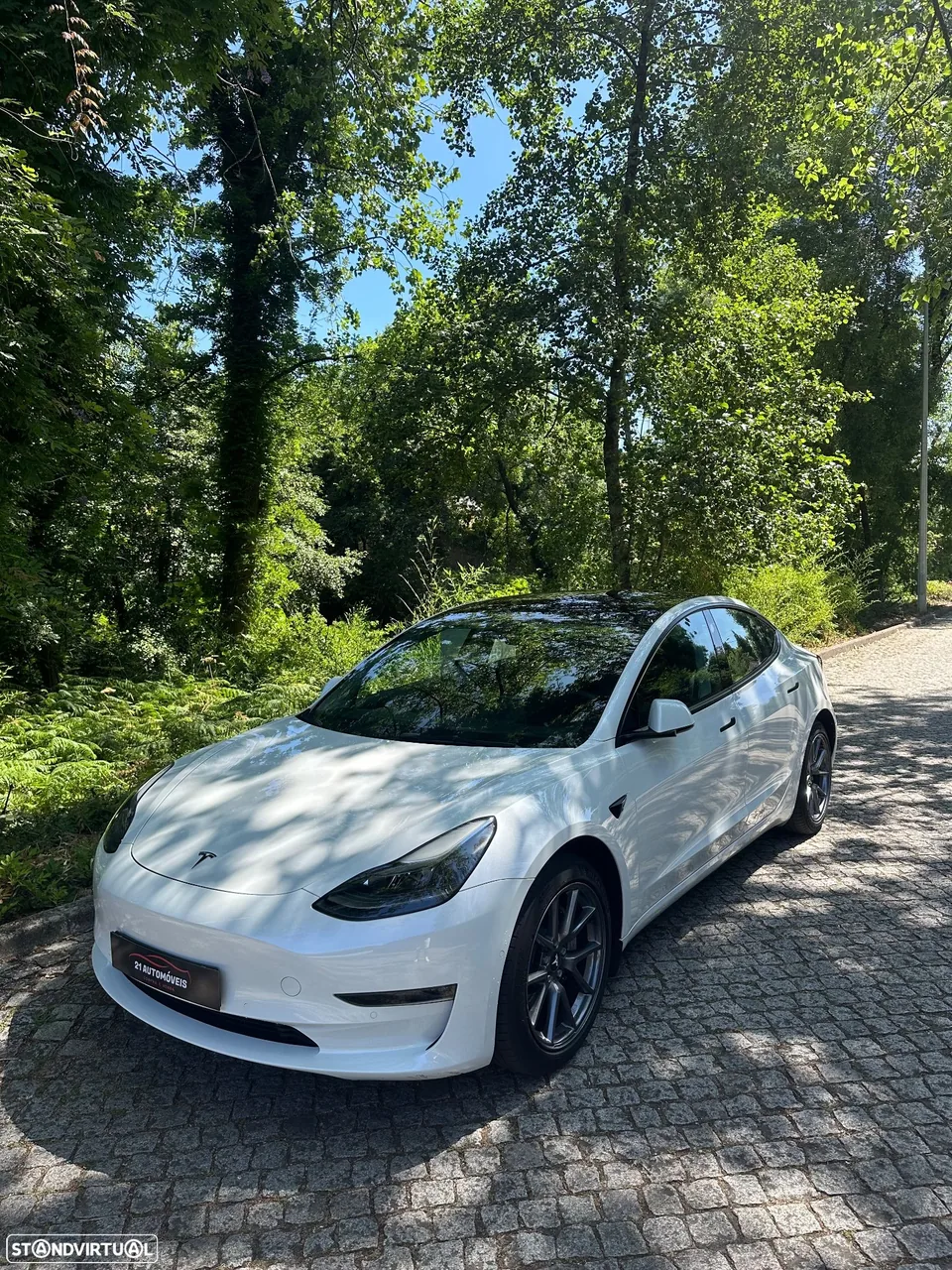 Tesla Model 3 Long Range Tração Integral