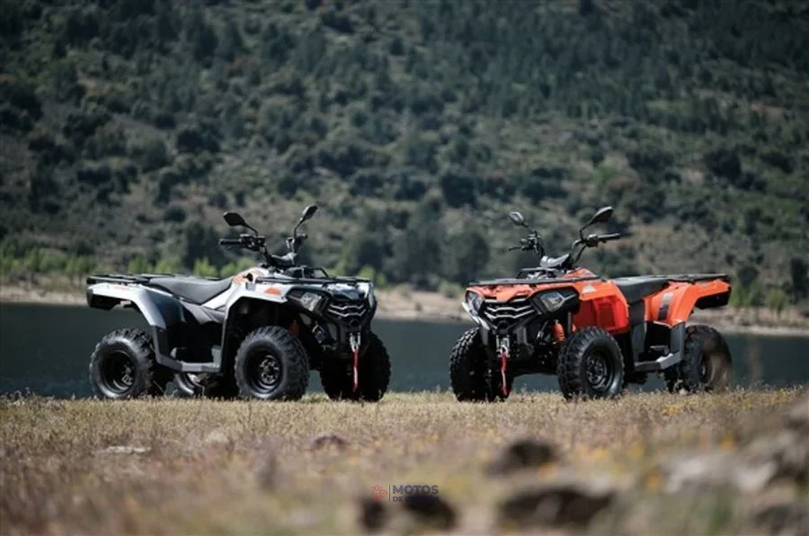 Loncin Otros LX300