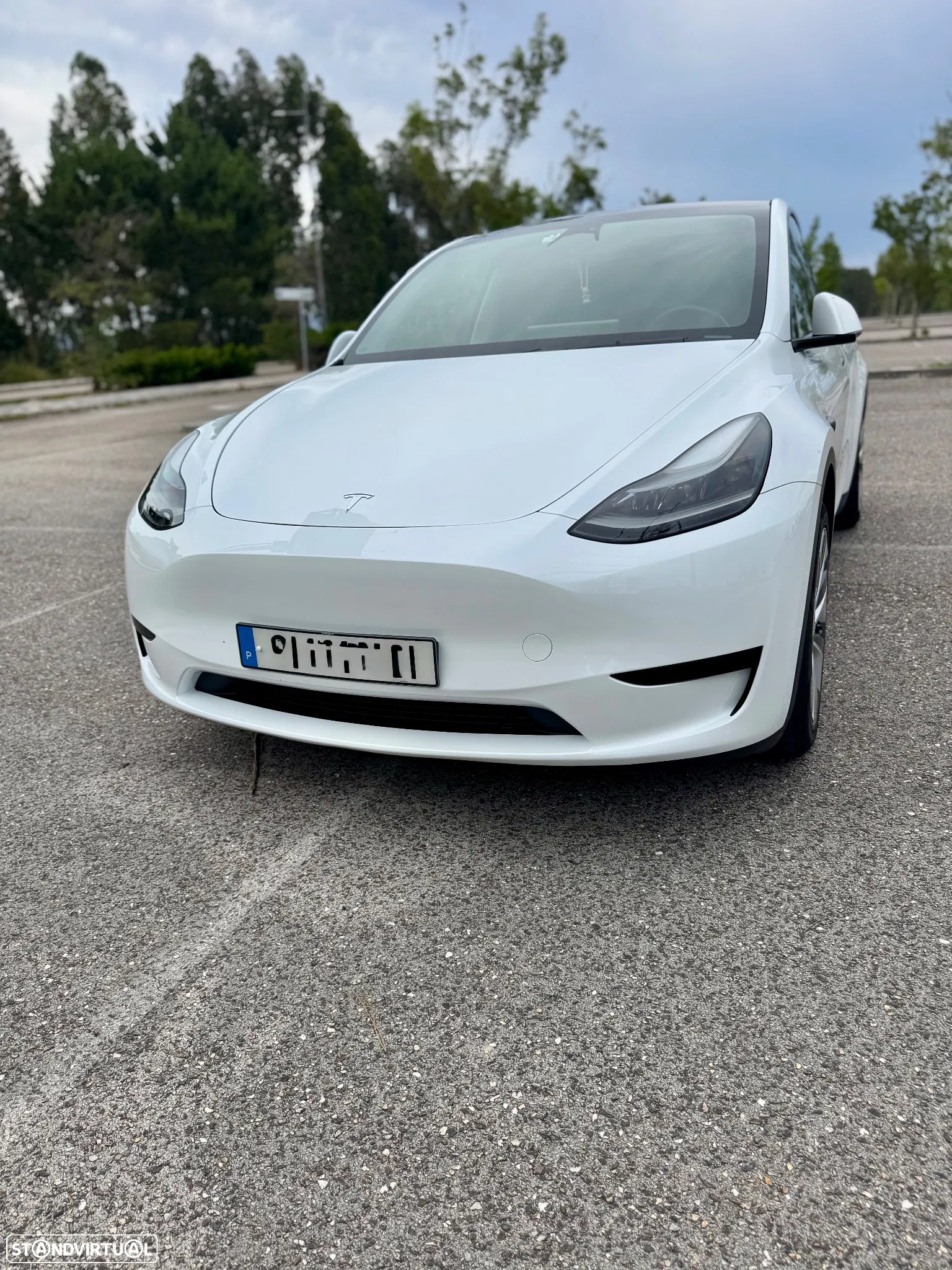 Tesla Model Y RWD