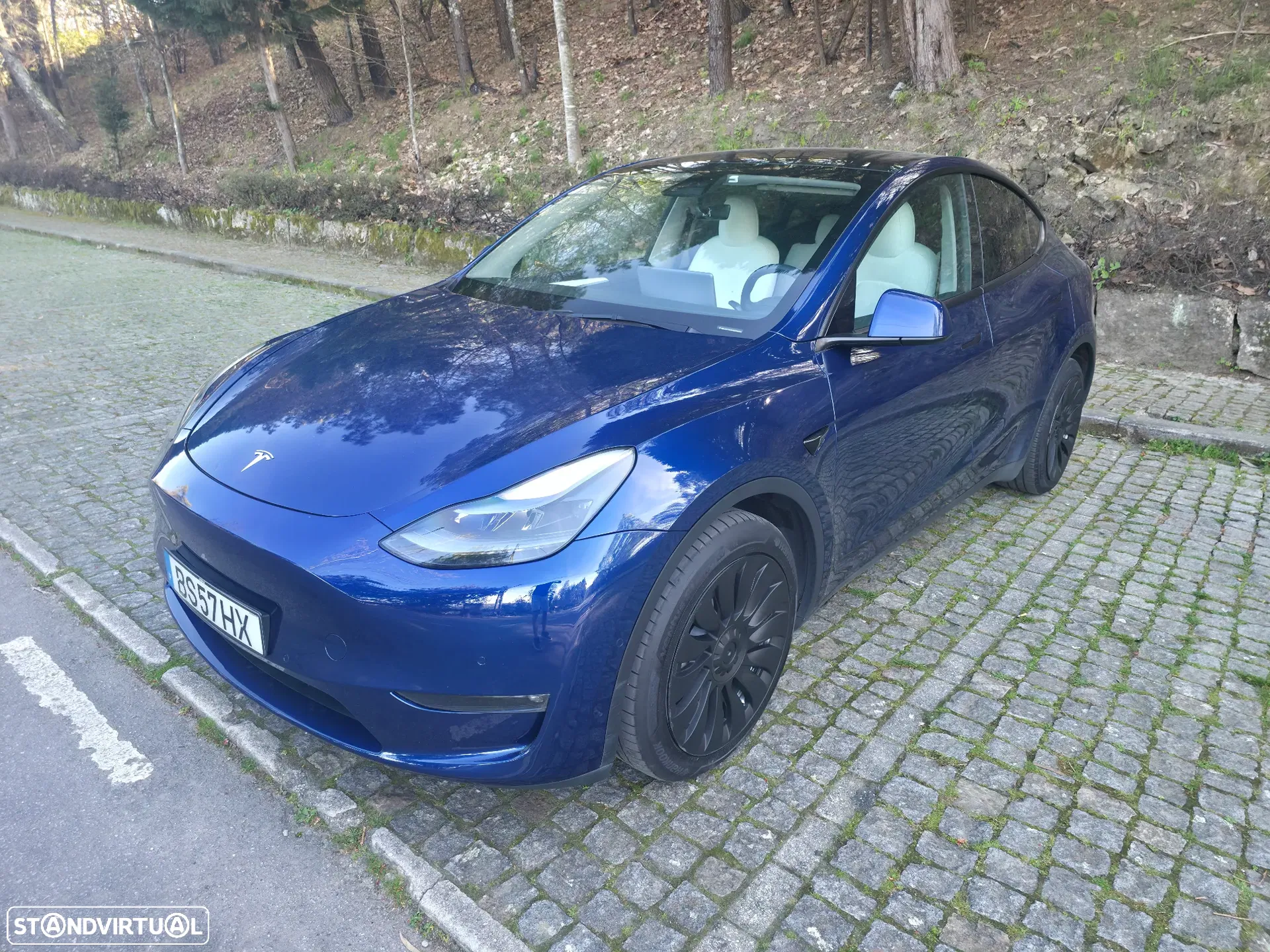 Tesla Model Y Long Range Dual Motor AWD